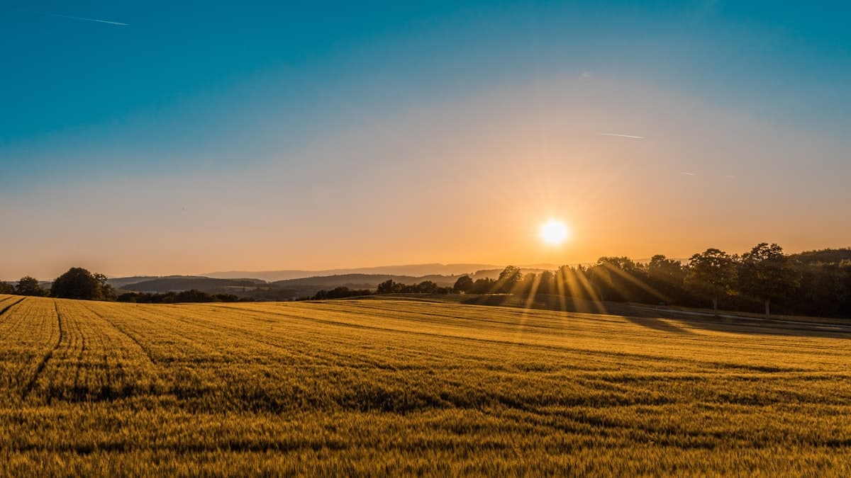 Why Agricultural Tank Maintenance Matters